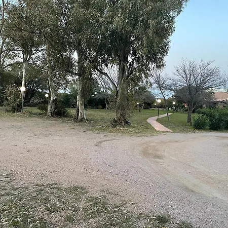 Gegi Budoni