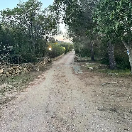 Gegi Budoni